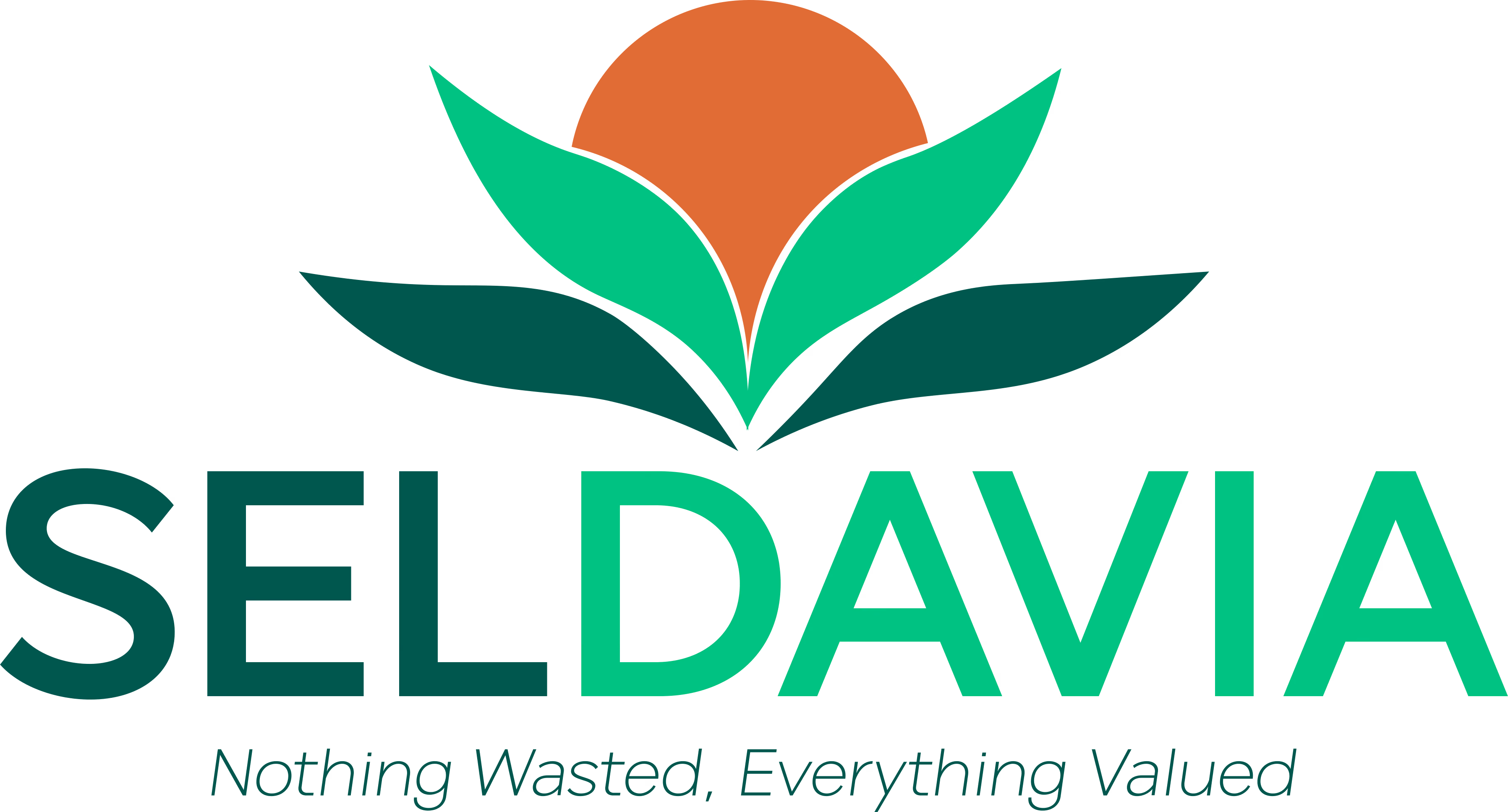 Logo with a stylized design of four green leaves and an orange circle above the word SELDAVIA, where SEL is in dark green and DAVIA is in bright green, followed by the tagline 'Nothing Wasted, Everything Valued' in a cursive dark green font.